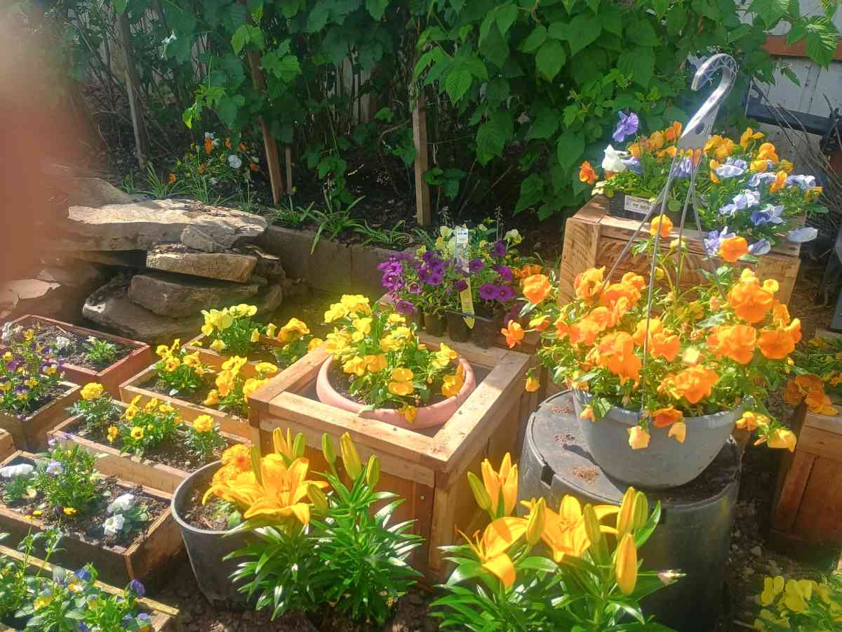 Beautiful live flower boxes tools much more