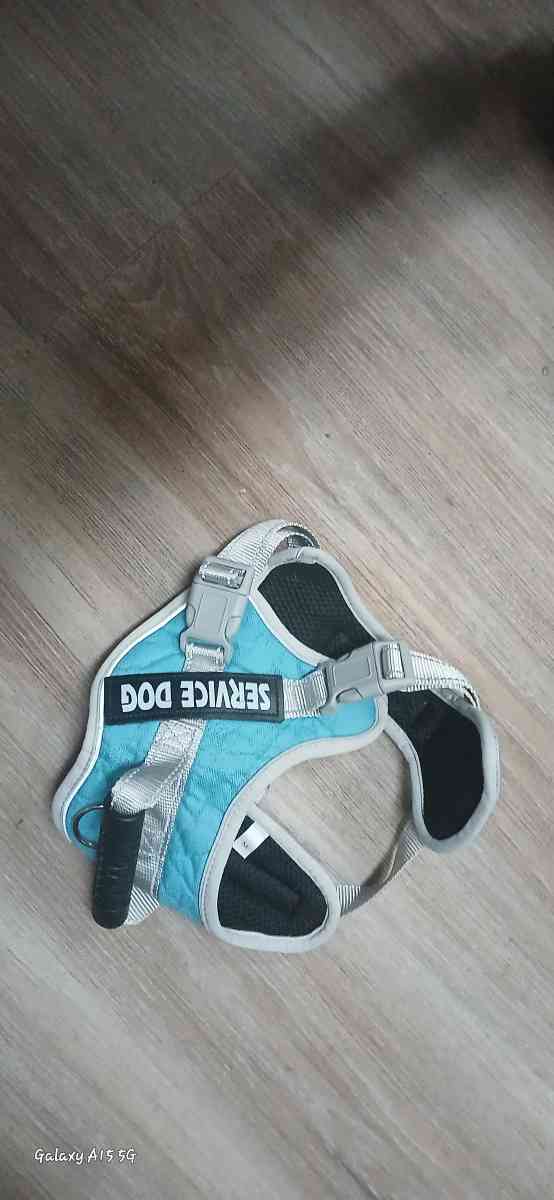 harnesses dog size small to large and different types