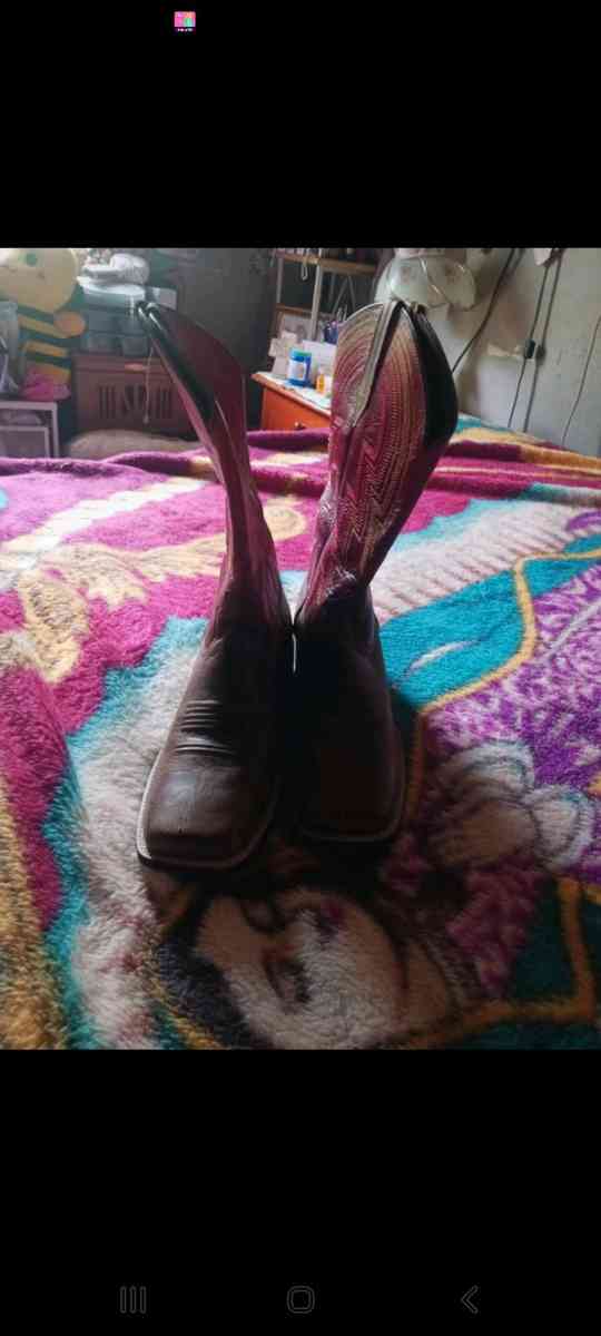 ariat boots