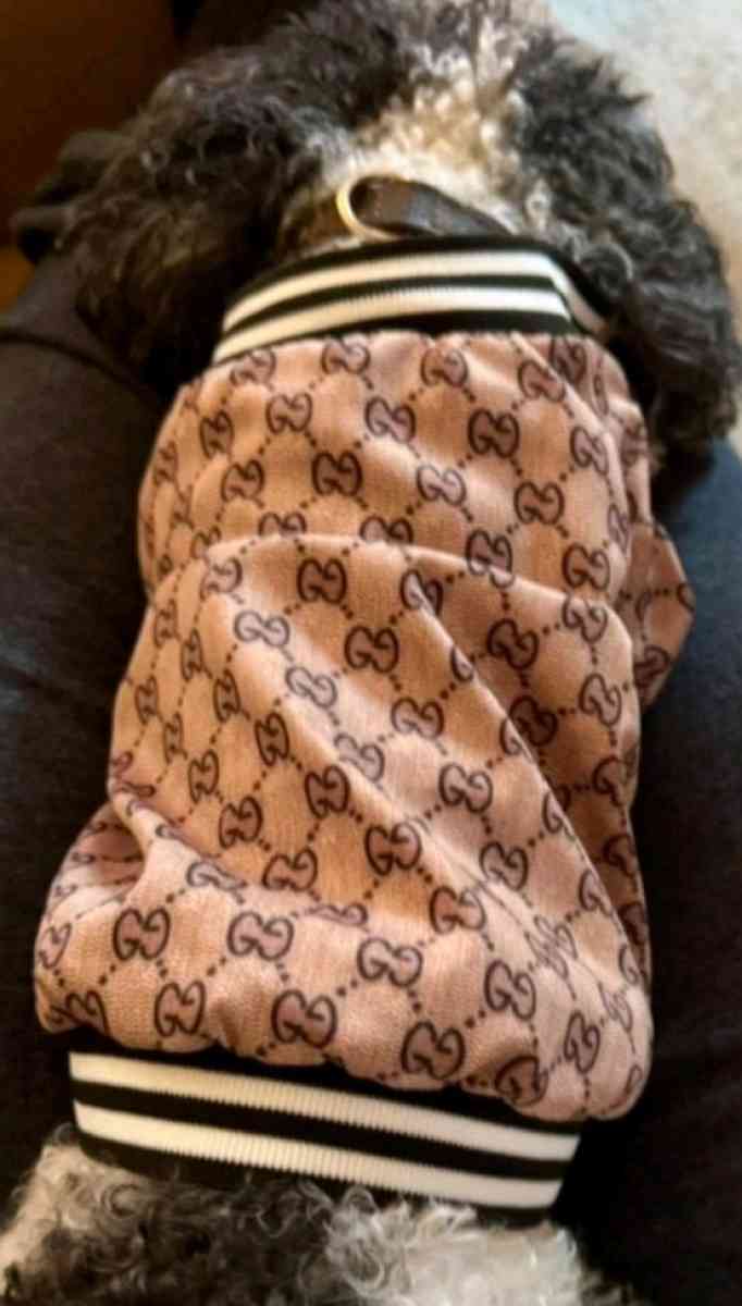 DOG JACKET  WITH GUCCI PRINT