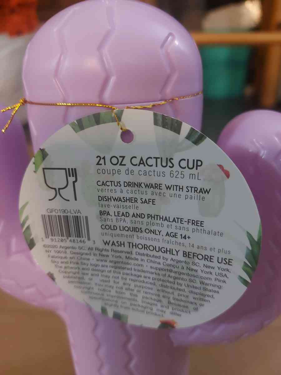 Pink Sky Lookin Sharp Cactus Cup 21 oz