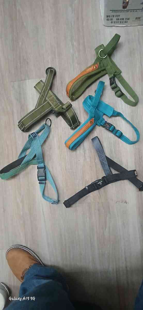 harnesses dog size small to large and different types