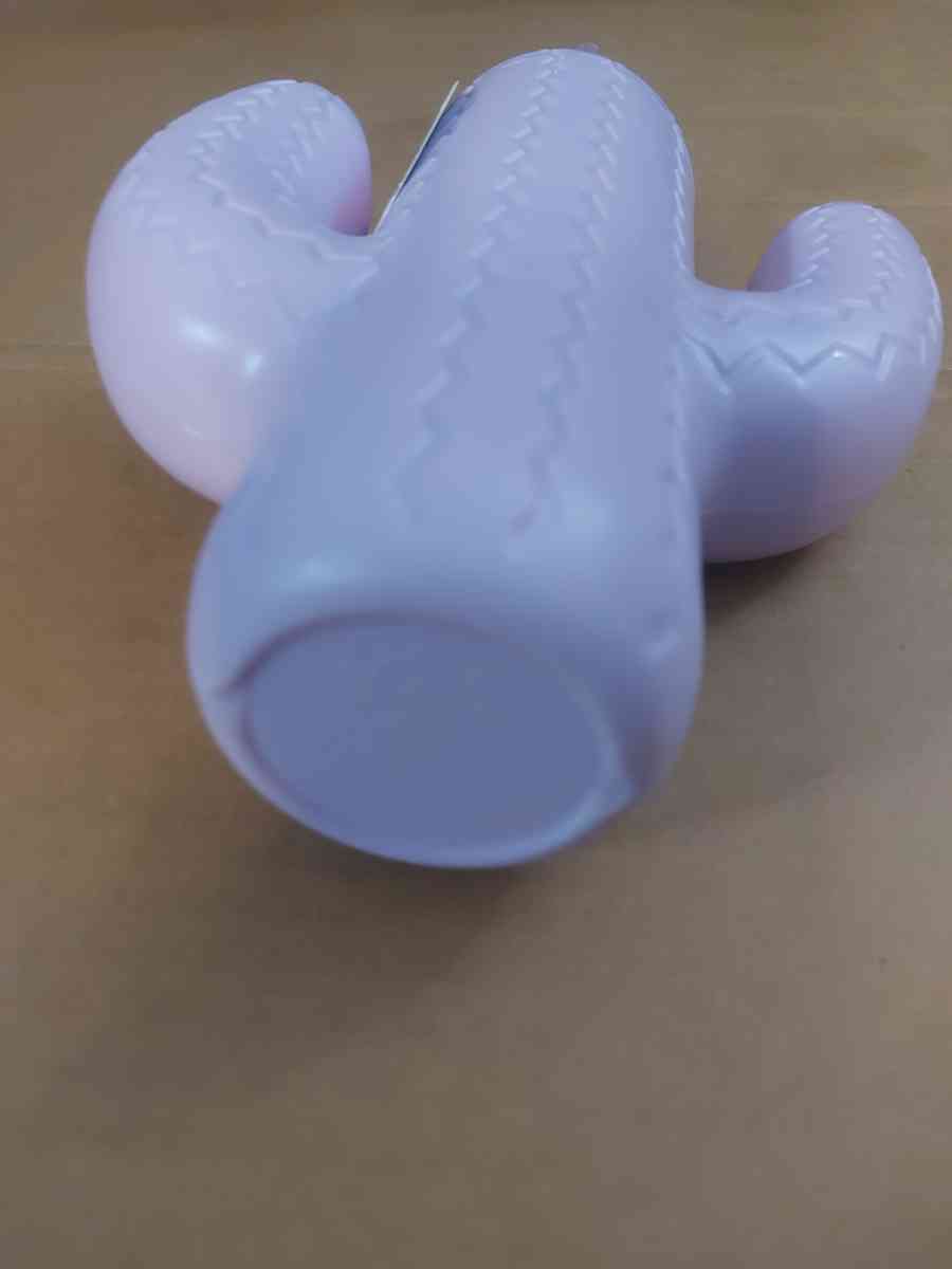 Pink Sky Lookin Sharp Cactus Cup 21 oz