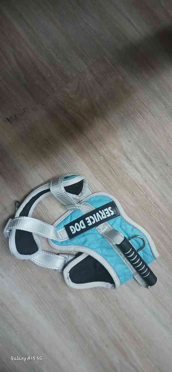 harnesses dog size small to large and different types