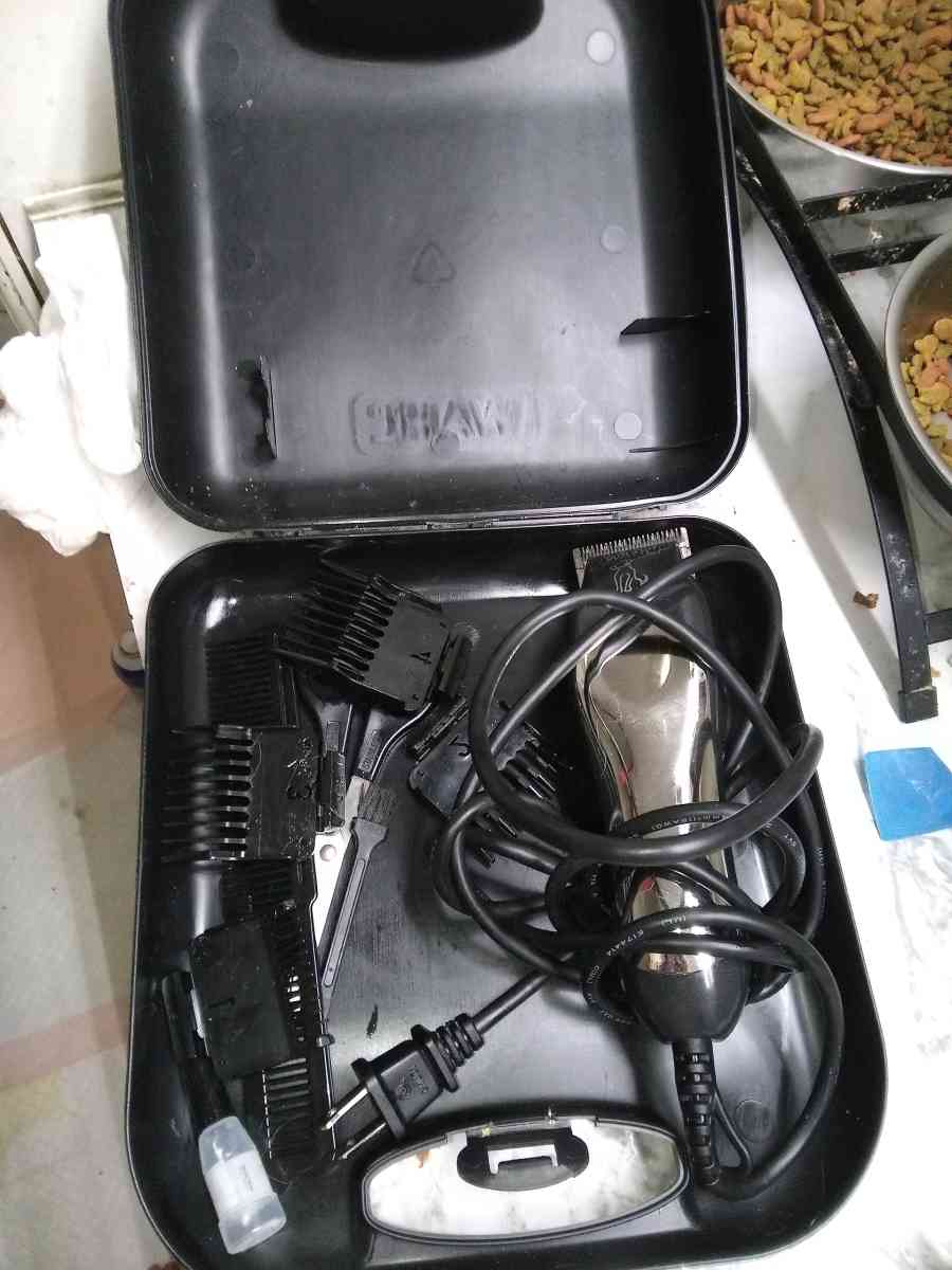 Wahl Clipper