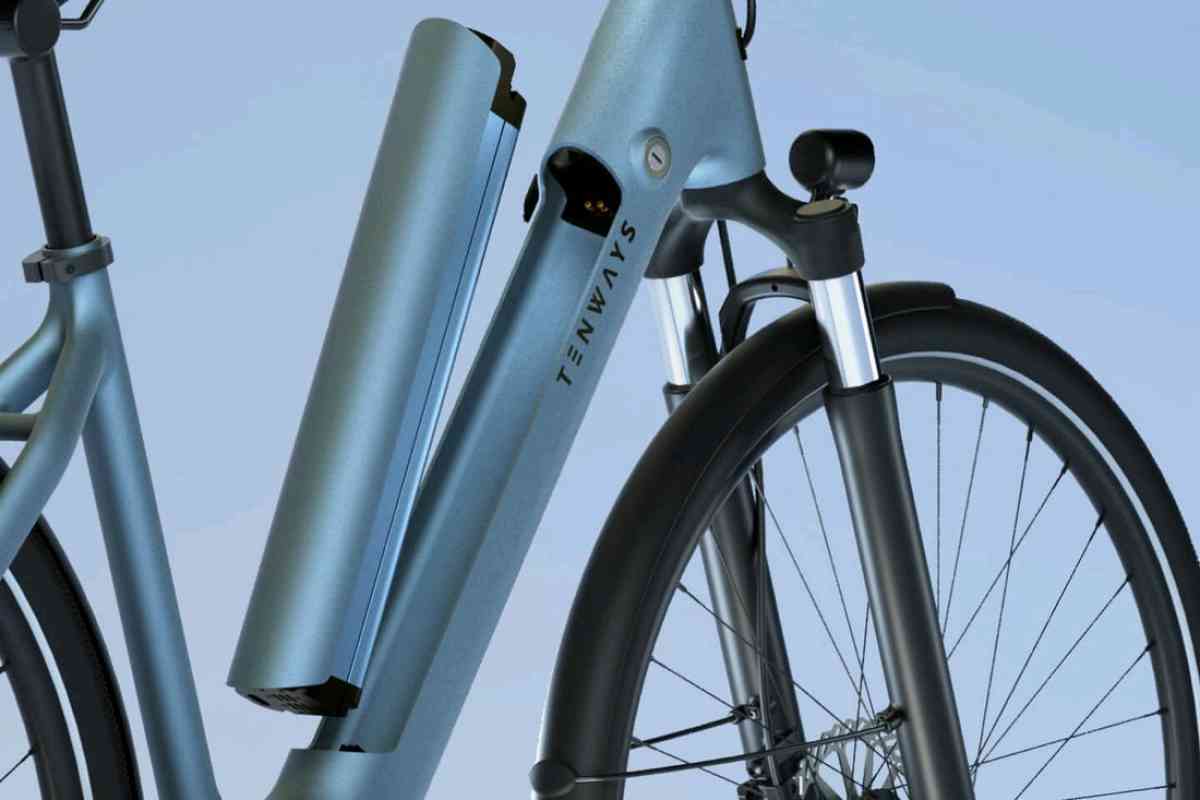 TENWAYS  CGO800S ELECTRIC BIKE