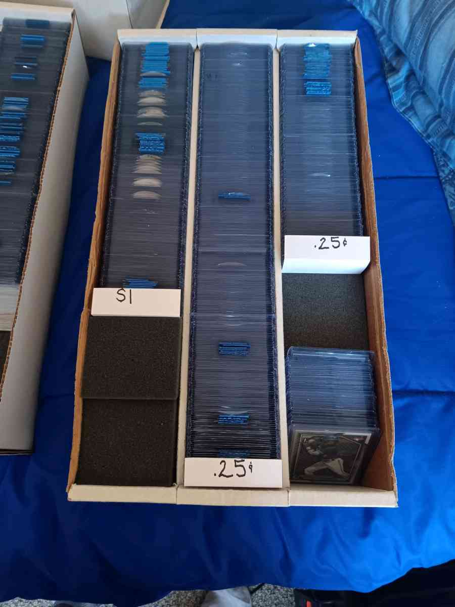 Sports Card Collection