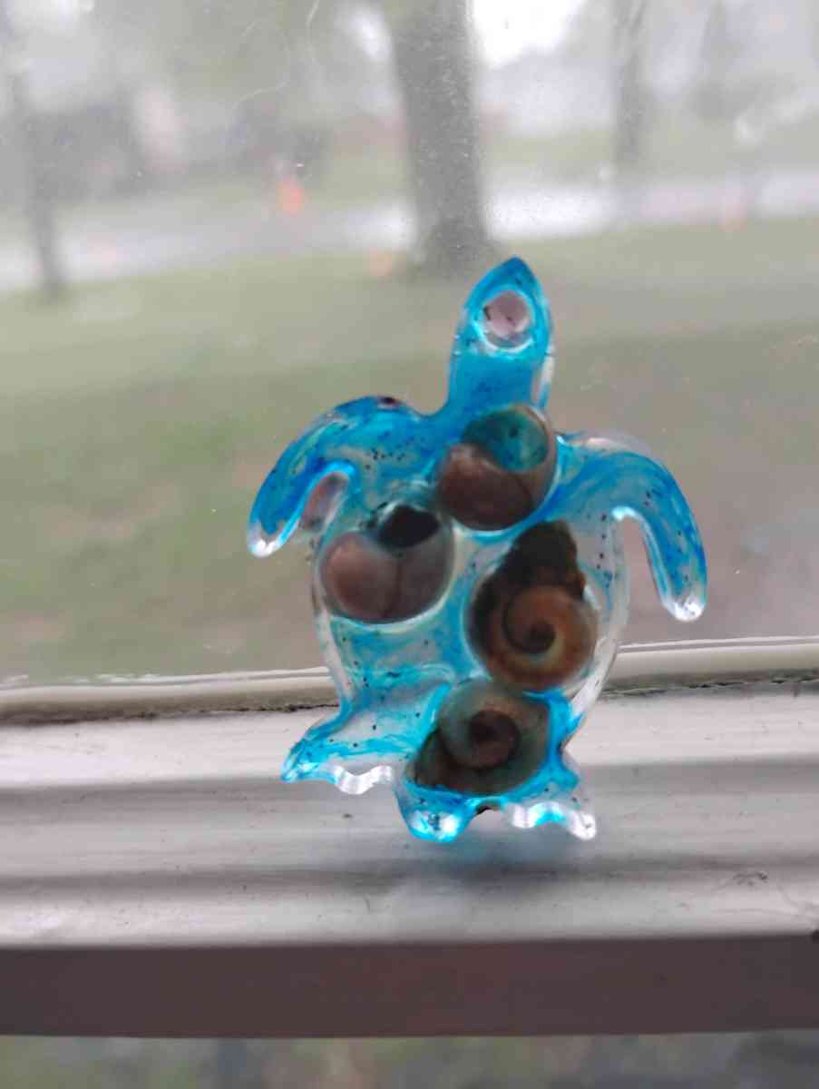 ocean inspired Resin Turtle earrings with seashells