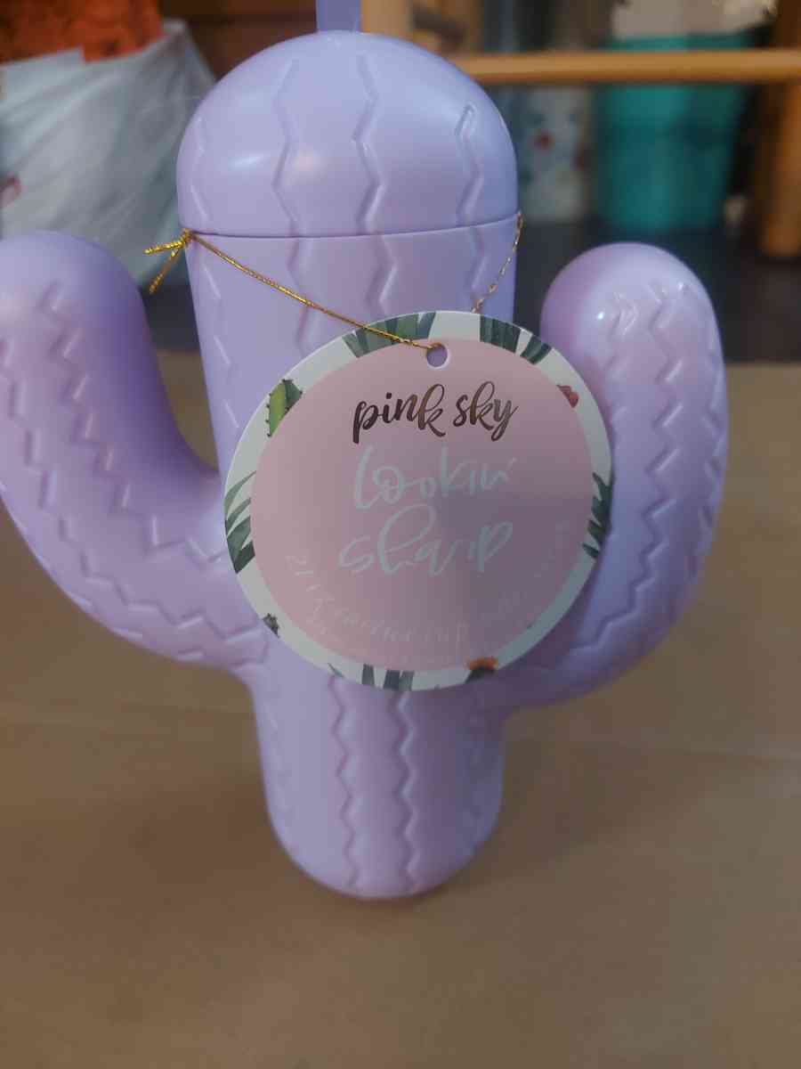 Pink Sky Lookin Sharp Cactus Cup 21 oz