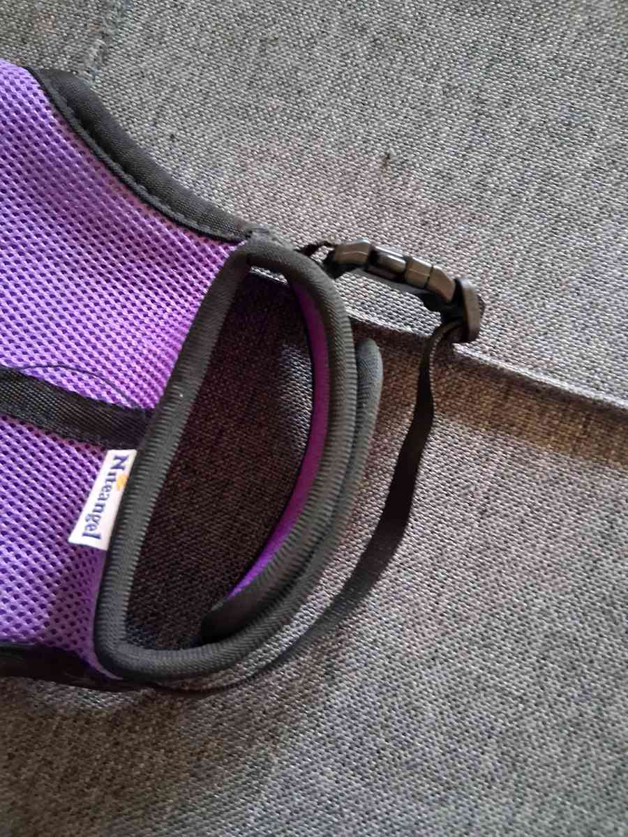 2 bunny harnesses n leashes