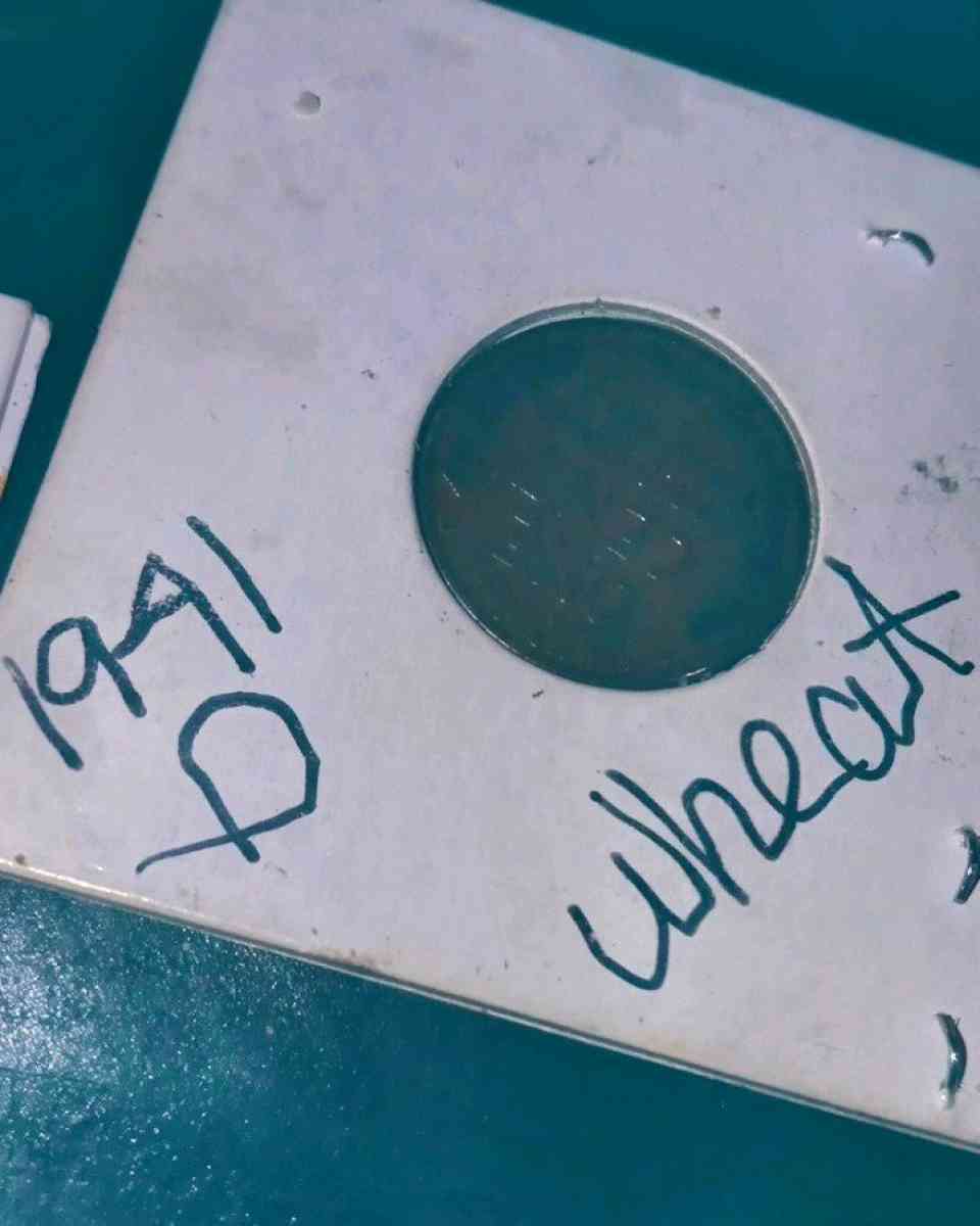 variety of high grade Lincoln wheat pennys and others