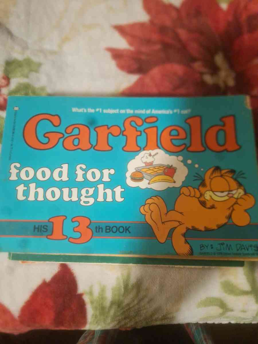 1978 to 1980 Garfield comics