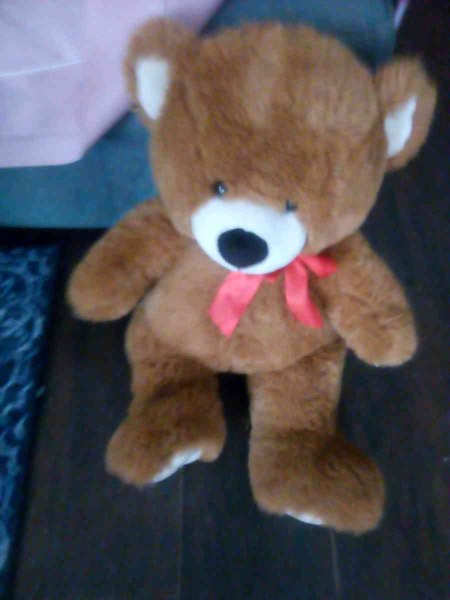big teddy bear