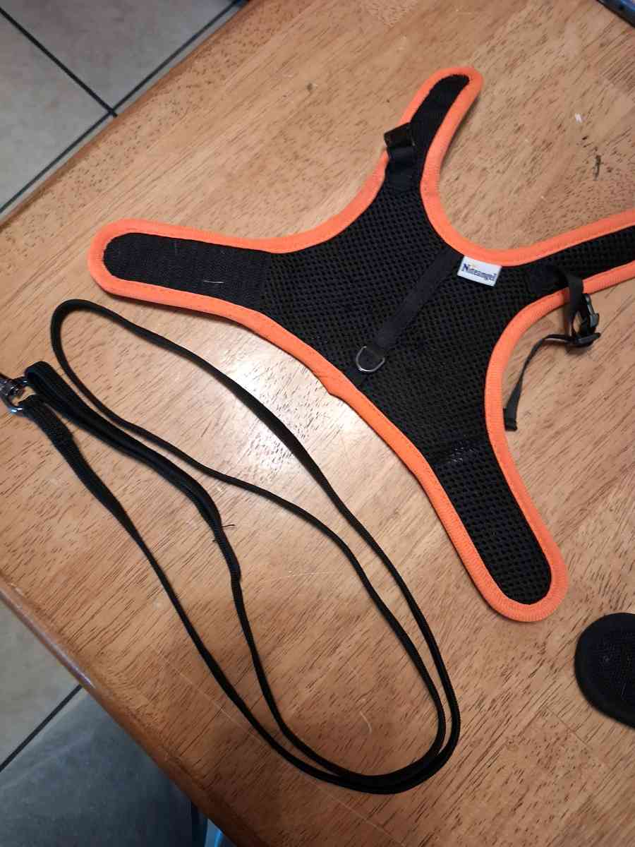 2 bunny harnesses n leashes