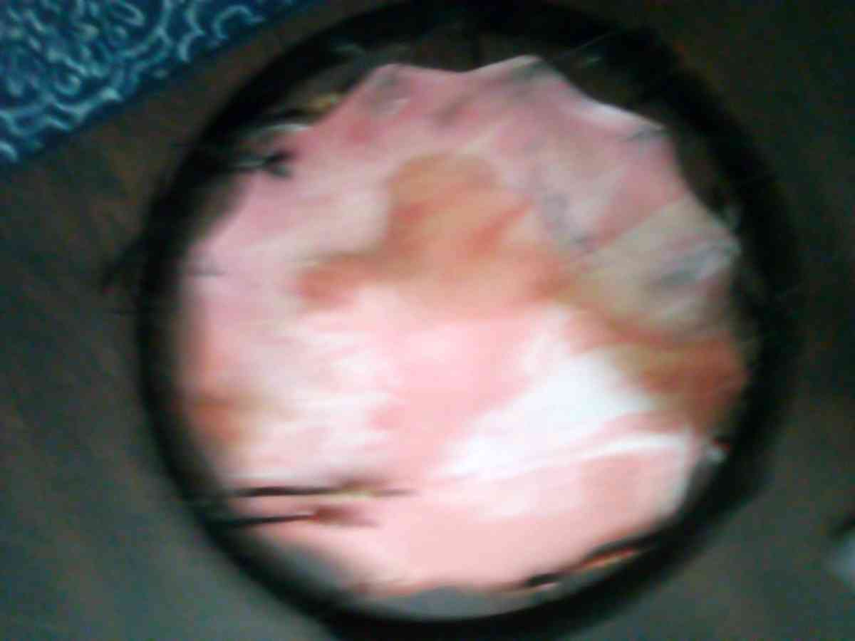 two boxes books canvas holder planter pot cups  statue