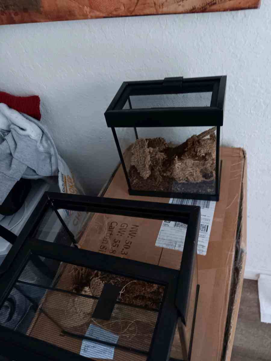 2 small reptile terrarium 1g tank