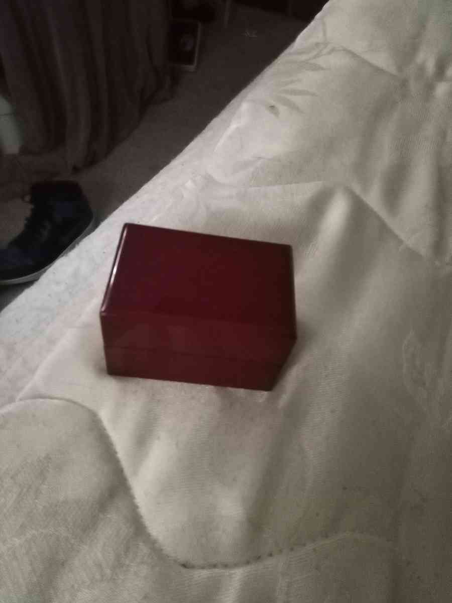 raiders championship ring 1976