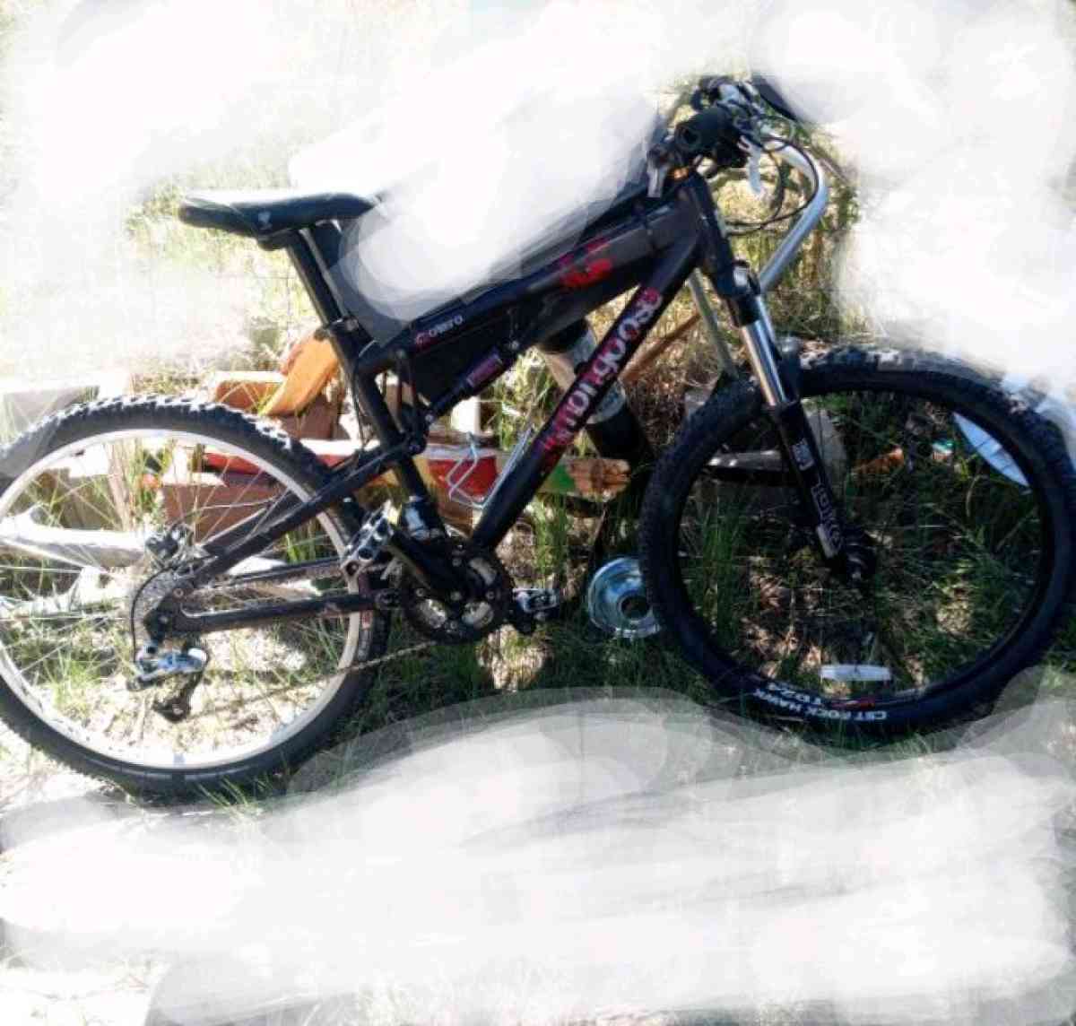 adult mountain bike