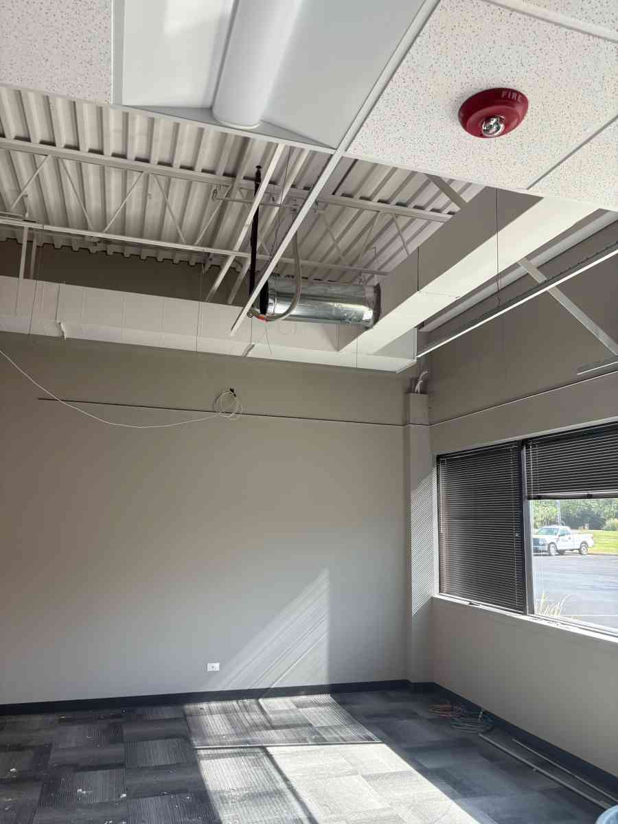 junk and trash removal and more