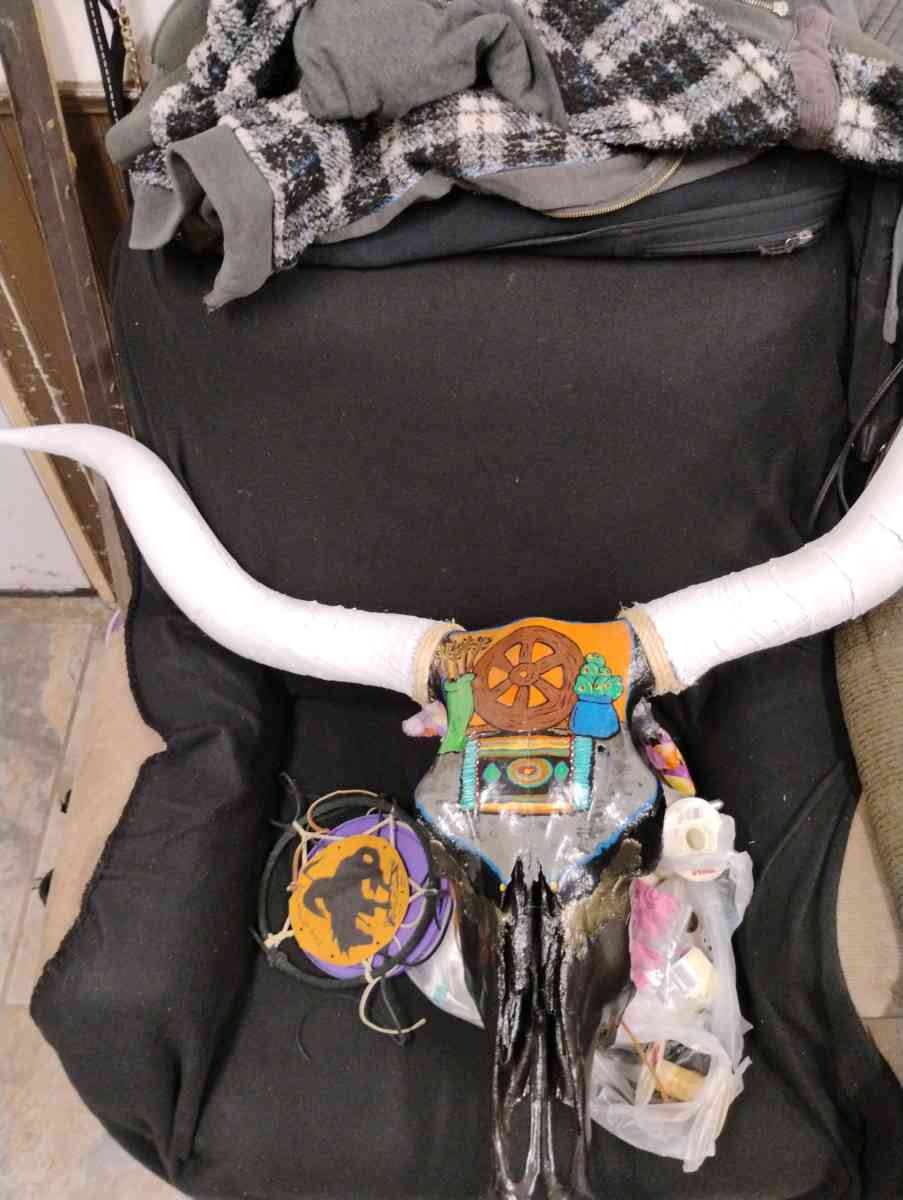 painted long horns skull