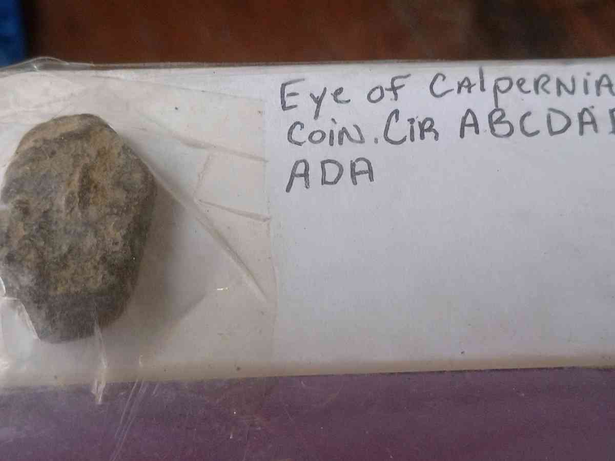 ancient stone type plaginise Coin of calpernia