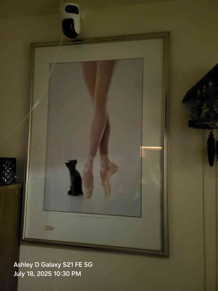 Large framed black and white ballet poster ballet dance