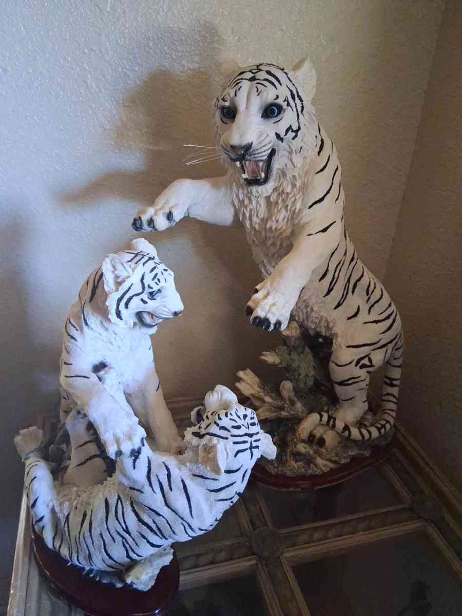 white tigers