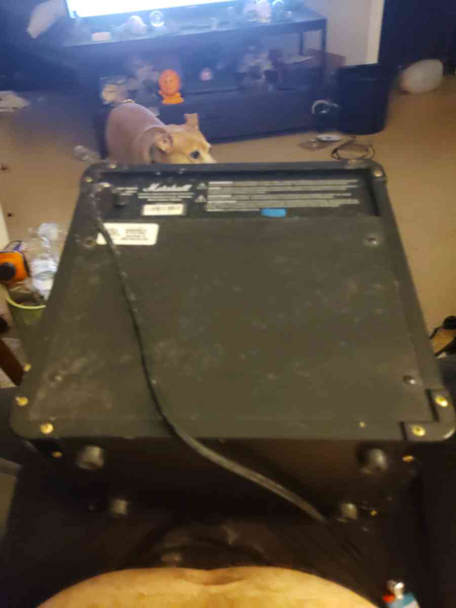 Electric guitar and amp