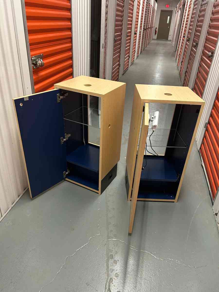 A PAIR OF DISPLAY CASES