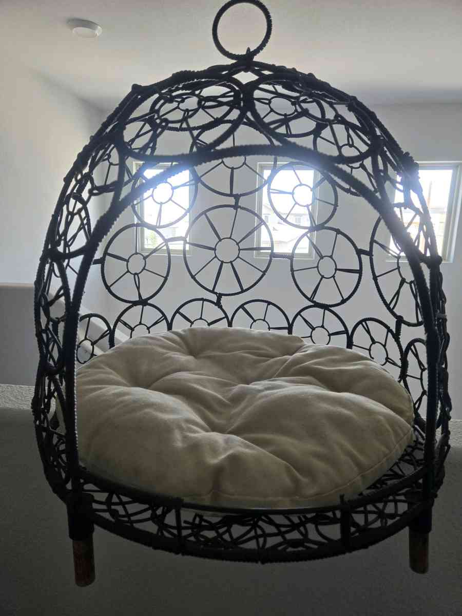 raised dog or cat bed