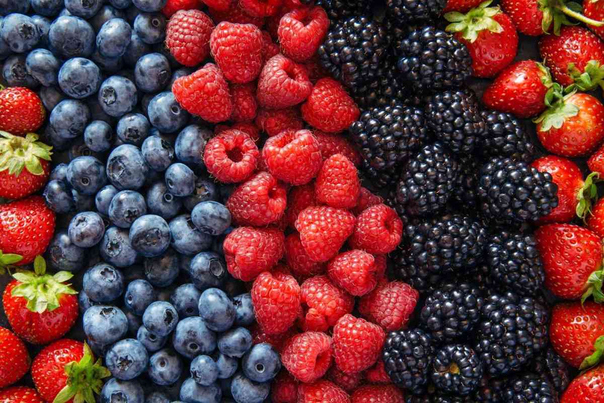 blueberries raspberries Marion berries blackberries