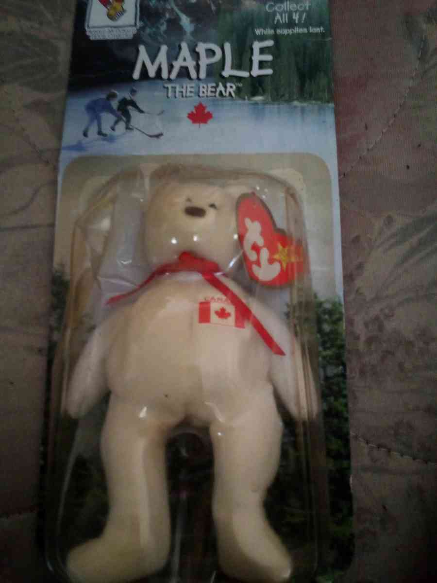 Maple The Bear