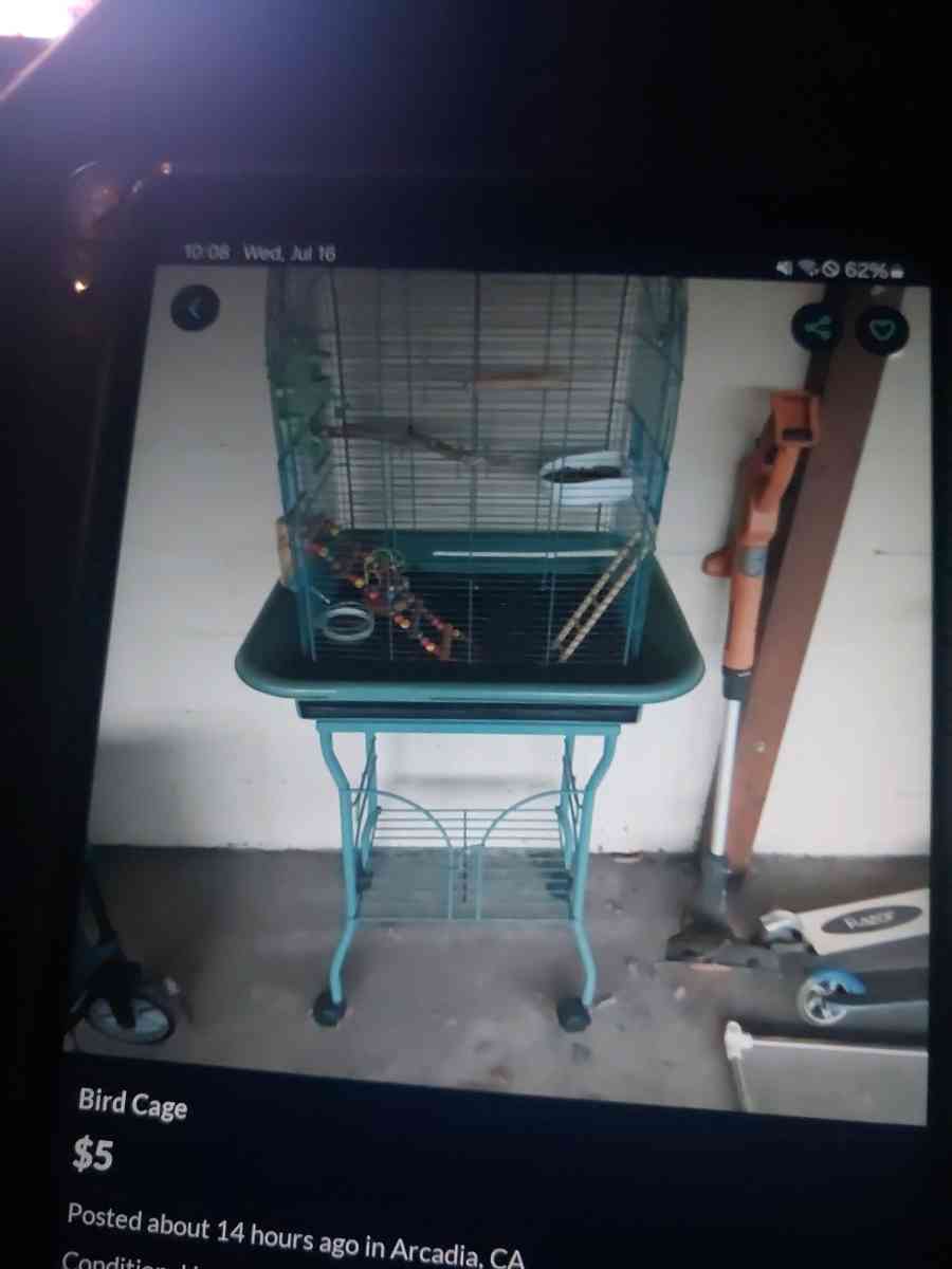 Bird Cage new