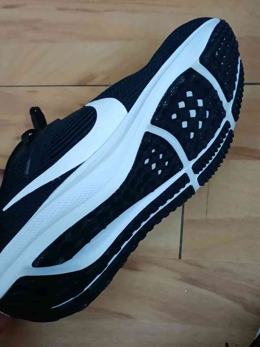 Nike Pegasus shoes Brand New