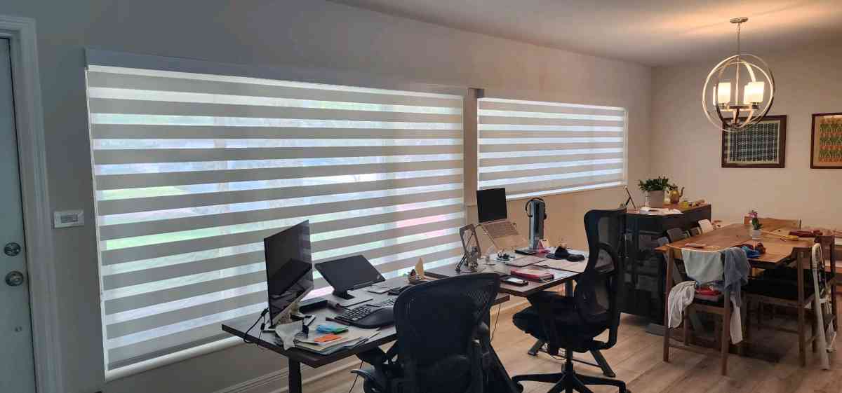 blinds And Shades Cortinas Y Persianas Zebra Shades