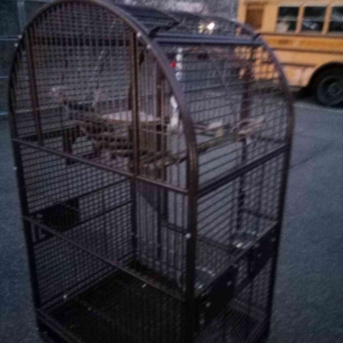 bird cage