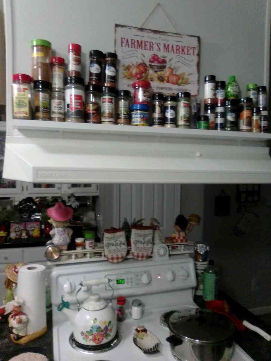 nice mobile home four years old one  family  one time you