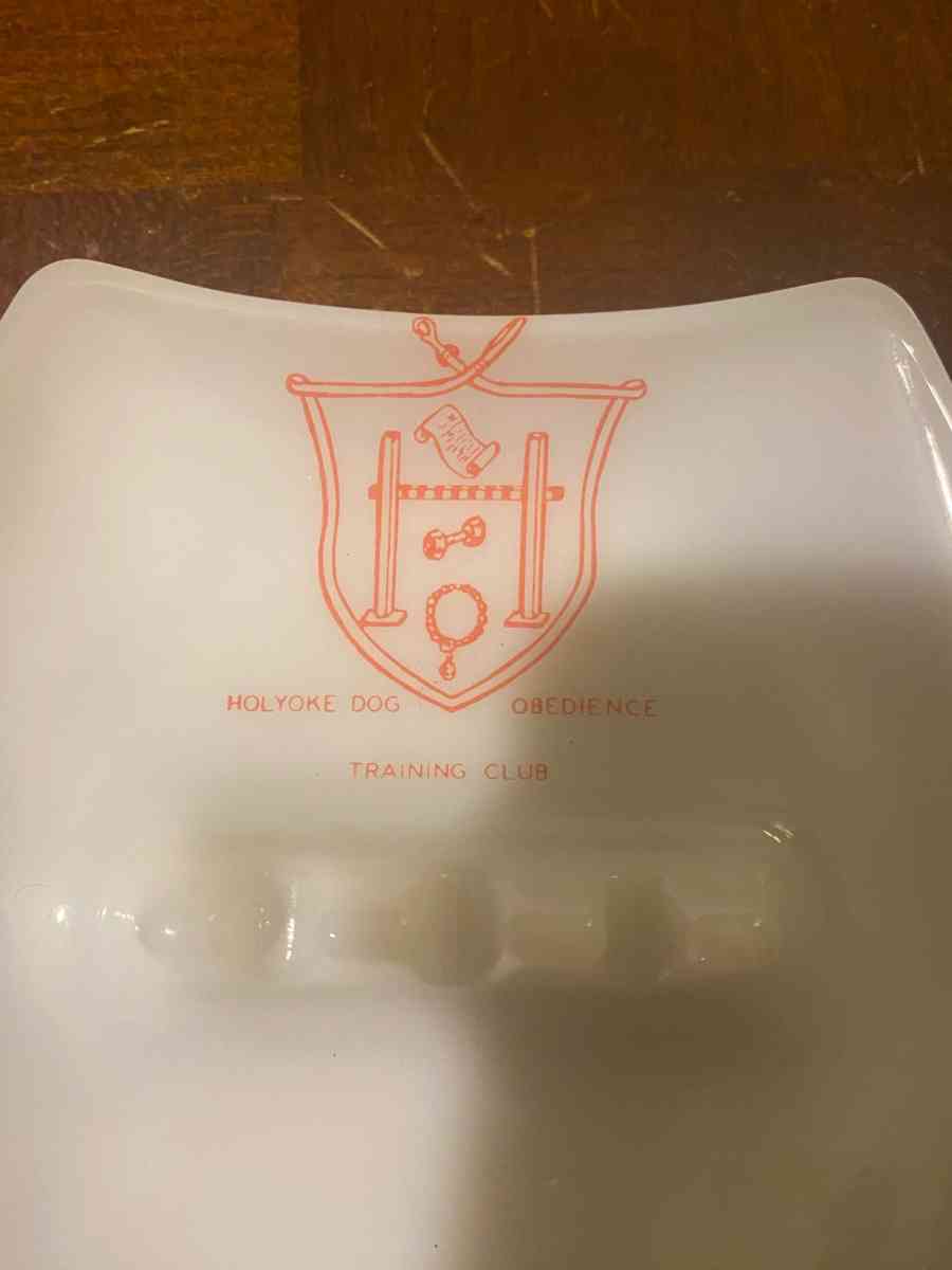 Ashtray Dog Kennel Training Club