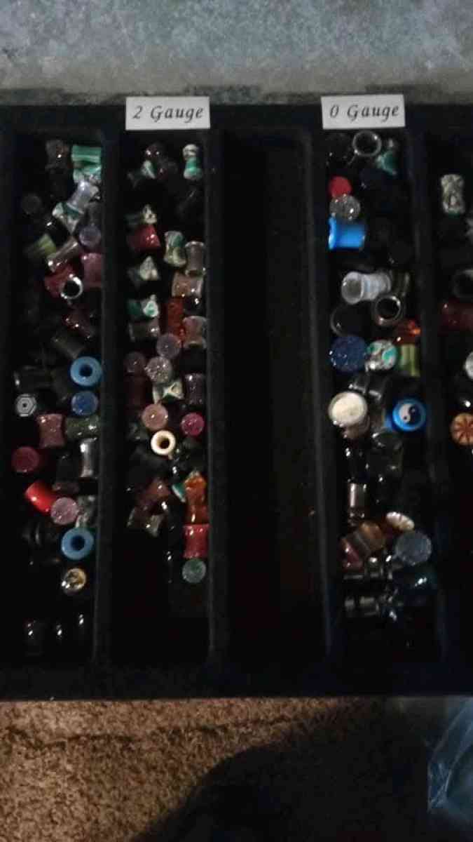 ear gauges from start to 1