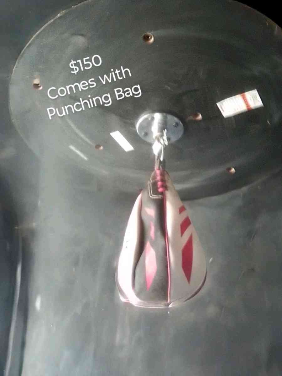 Everlast Punching Bag Equipment