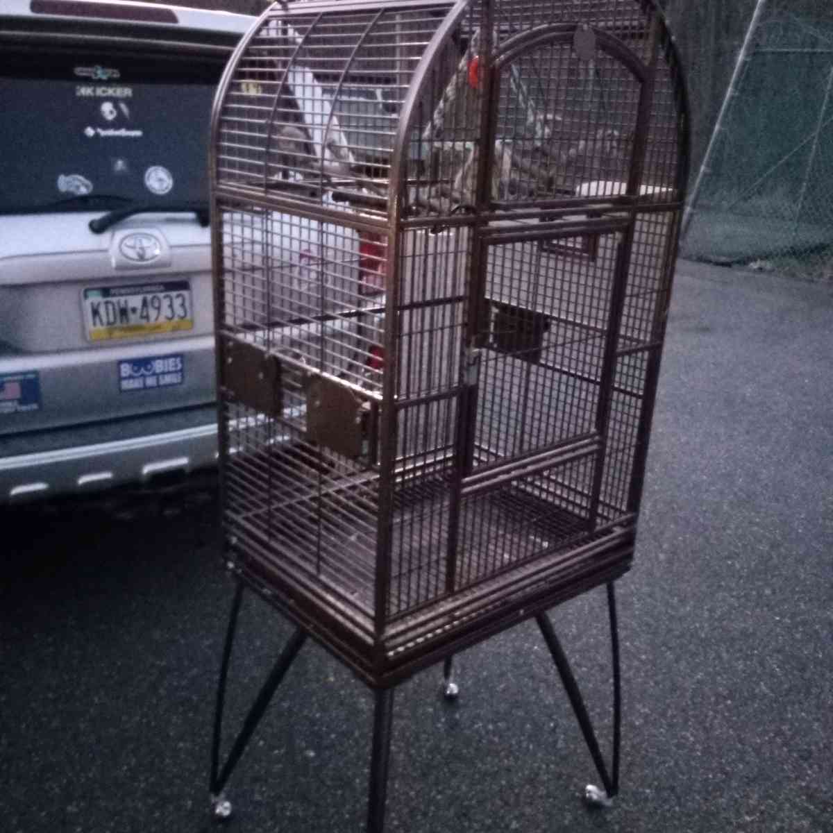 bird cage