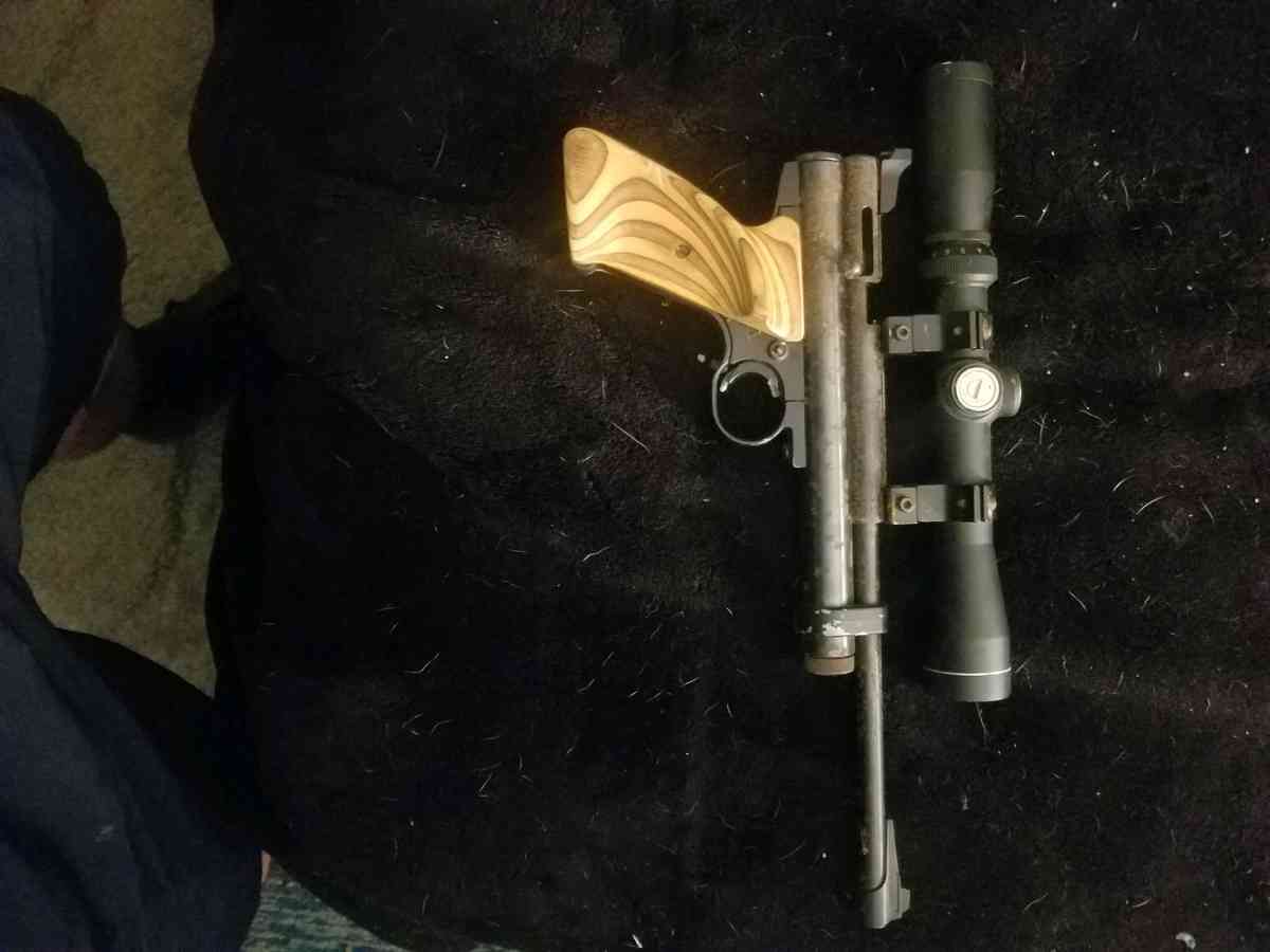 co2 pellet gun