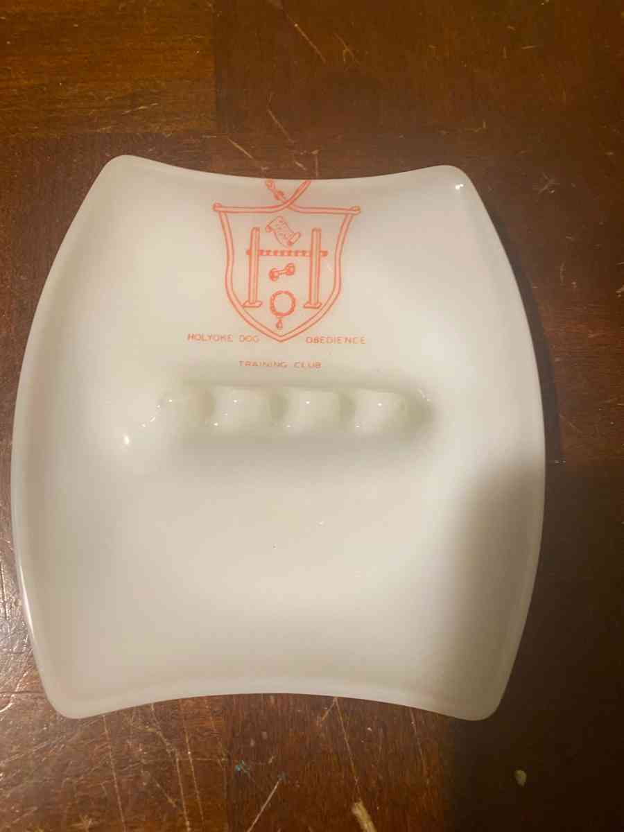 Ashtray Dog Kennel Training Club