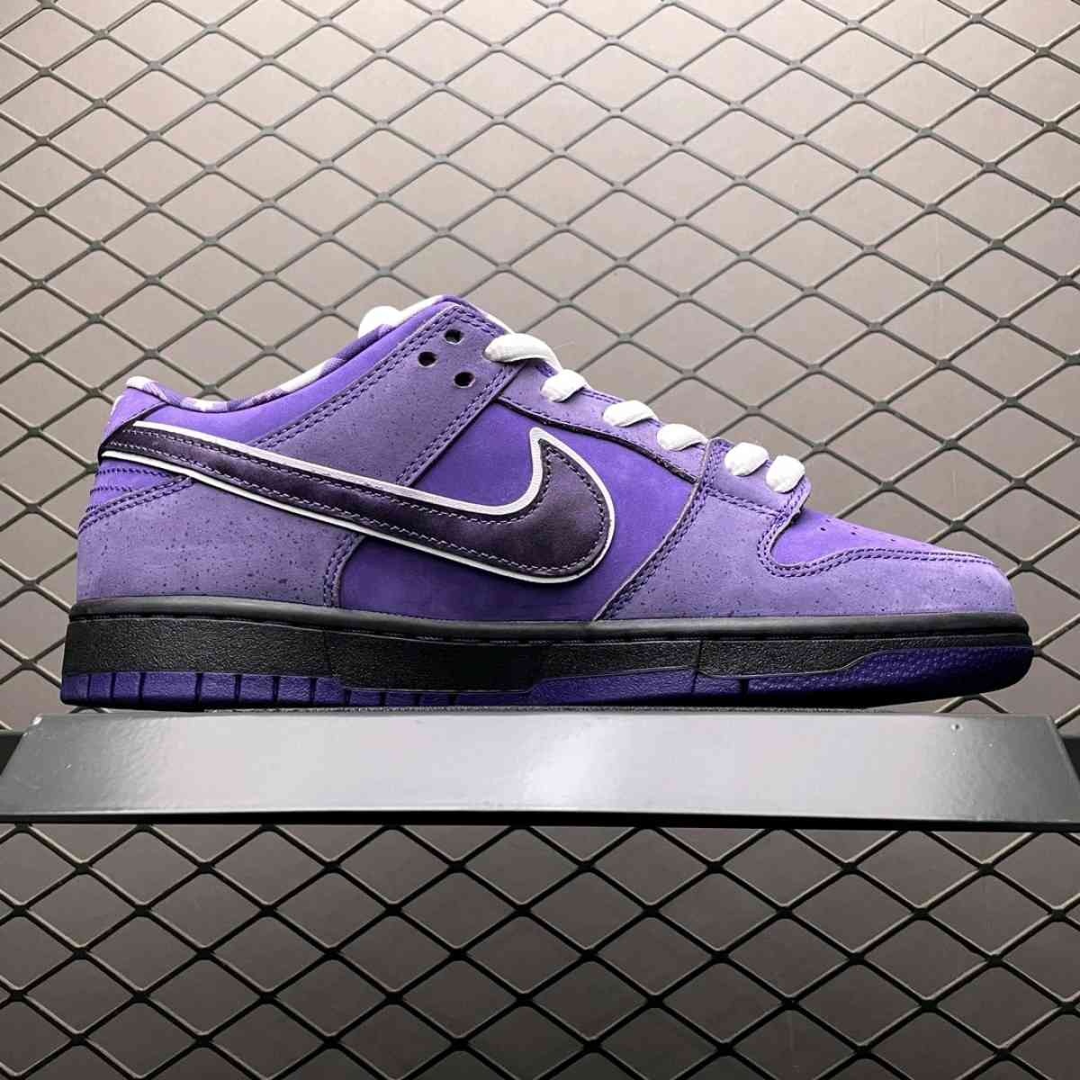 Concepts X NK SB Dunk Purple Lobster