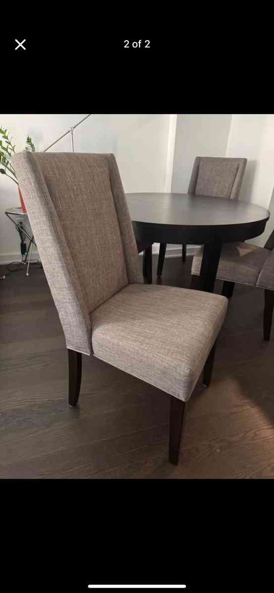 Raymour  Flanigan Dining Chairs