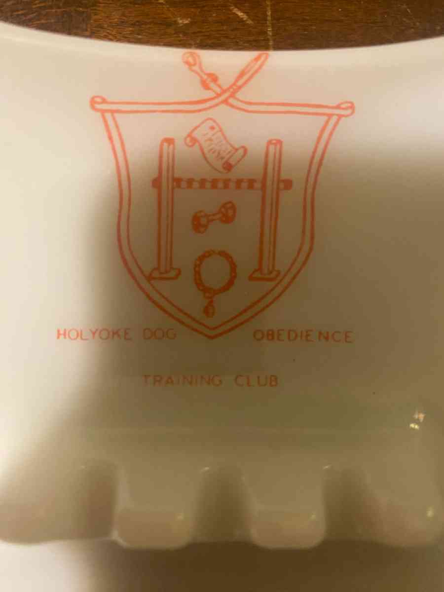 Ashtray Dog Kennel Training Club