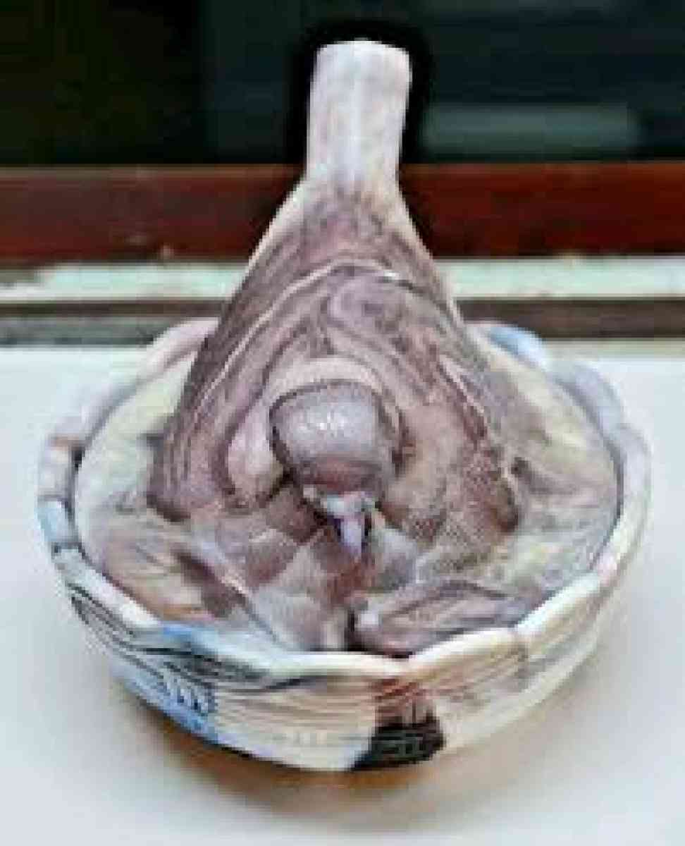 hens on a nest collection 100 pieces