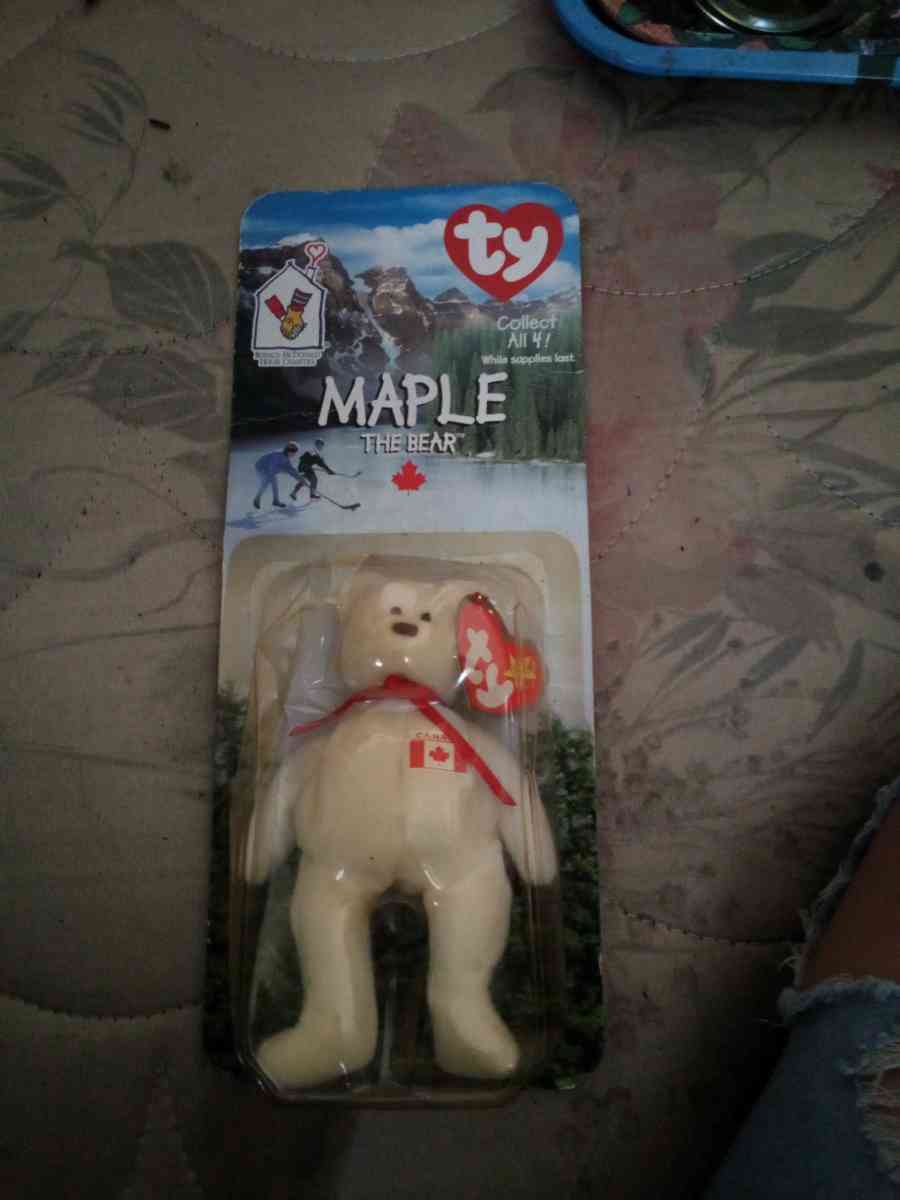 Maple The Bear