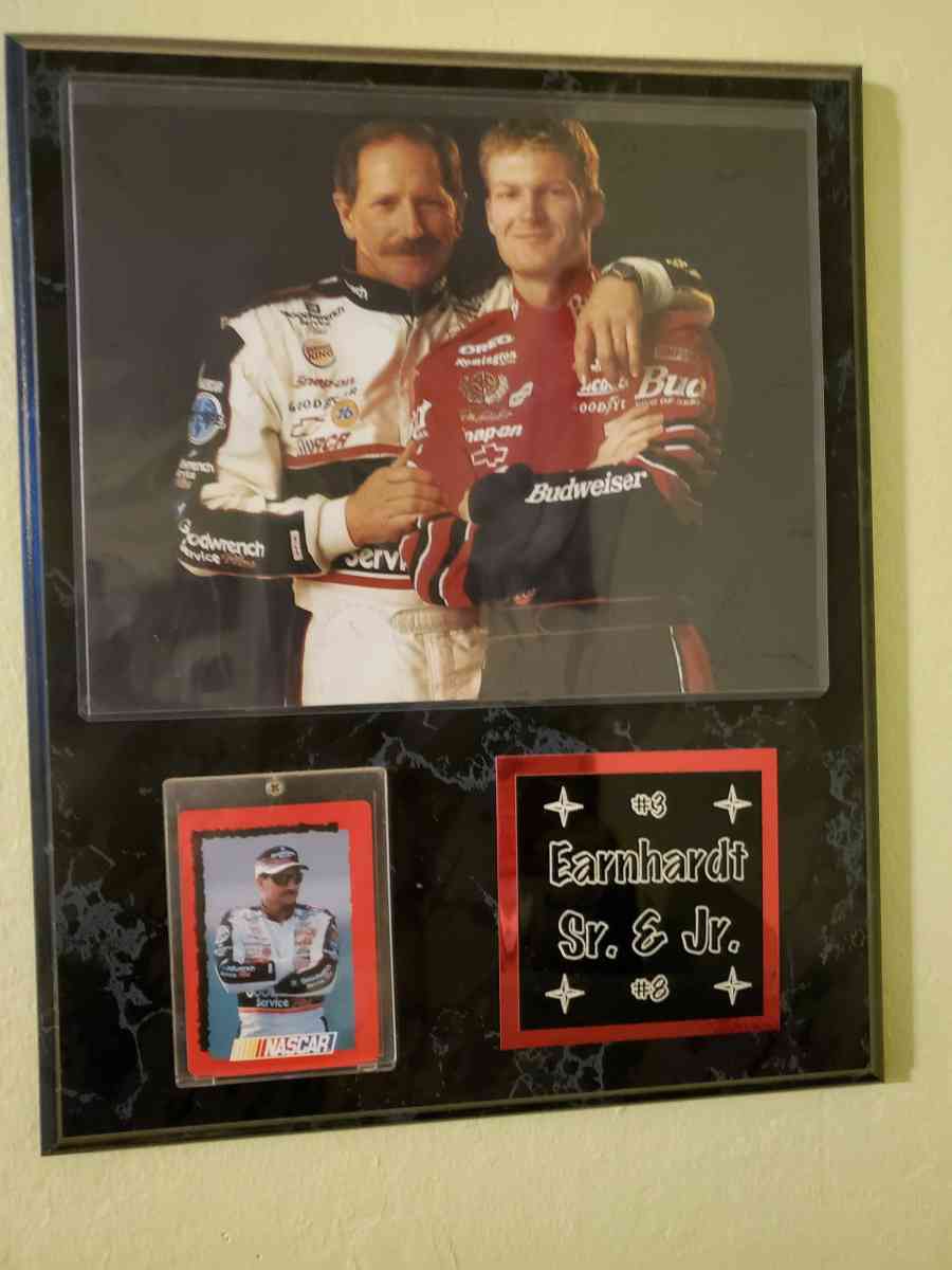 Dale Earnhardt Dale Jr