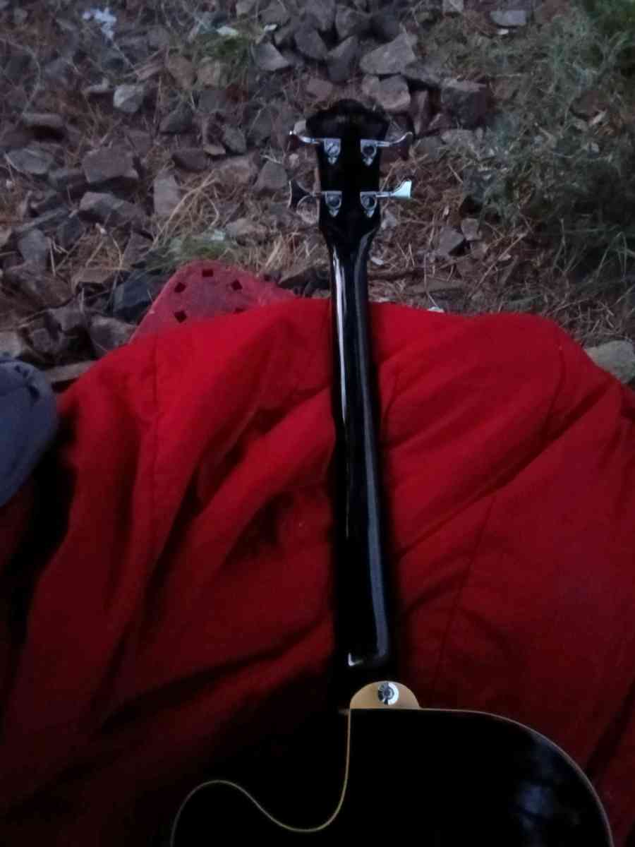 acoustic electric guitar bass